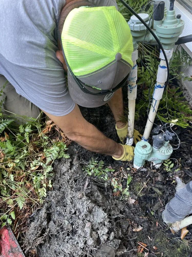 Professional yard maintenance with custom design across Rancho Cordova, CA - Alberto & Jose’s Landscape Maintenance