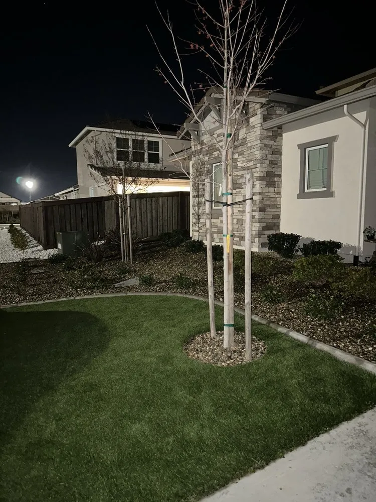 Affordable yard cleanup service in Rancho Cordova, CA - Alberto & Jose’s Landscape Maintenance