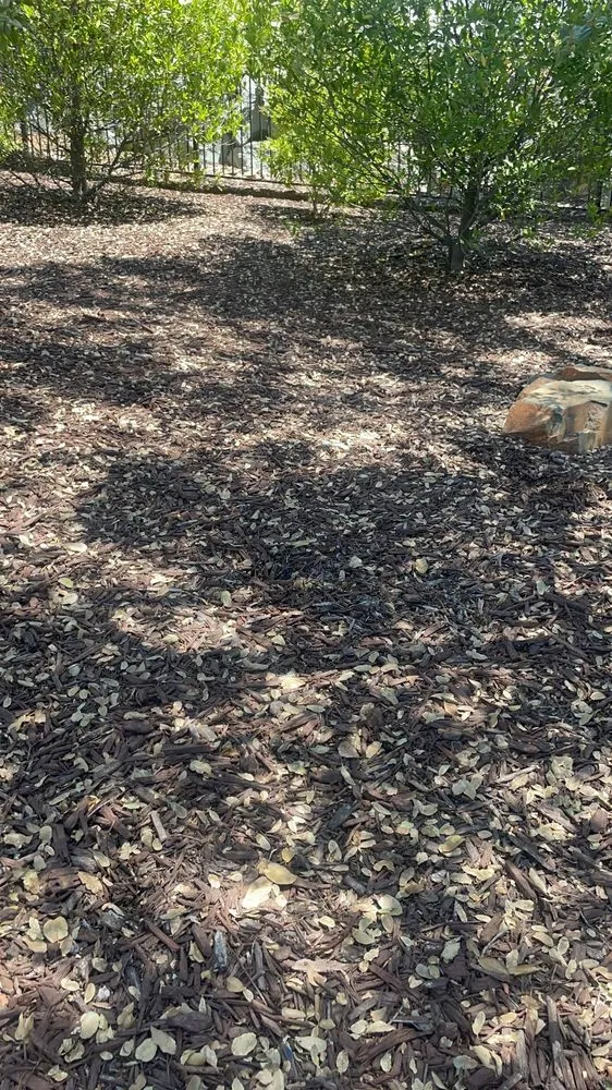 Professional yard maintenance in Rancho Cordova, CA - Alberto & Jose’s Landscape Maintenance