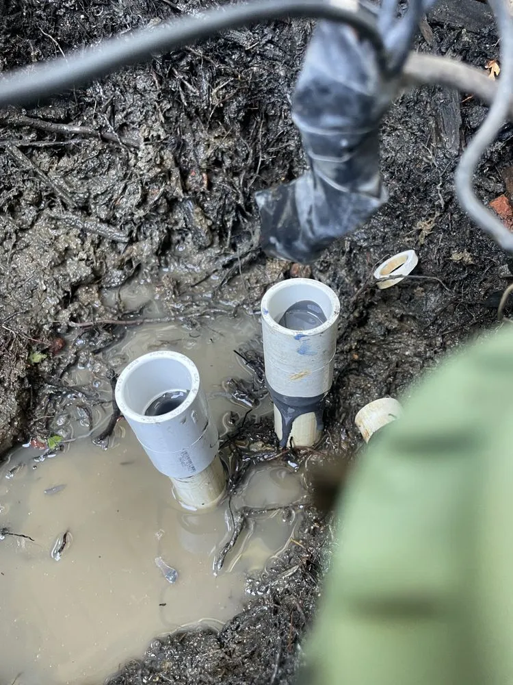 Trusted yard maintenance in Rancho Cordova, CA by Alberto & Jose’s Landscape Maintenance