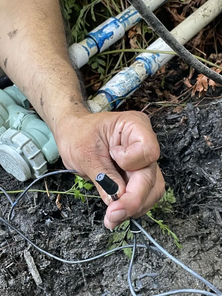 Top-rated landscape installation for beautiful yards across Rancho Cordova, CA - Alberto & Jose’s Landscape Maintenance