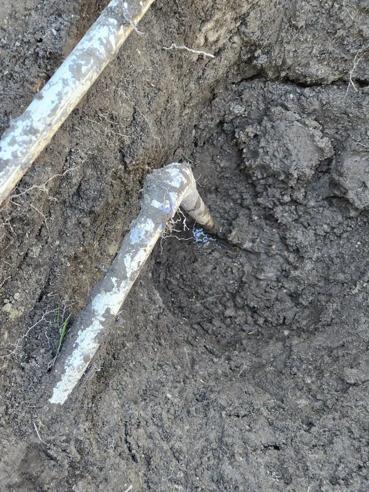 Reliable landscape design in Kearns, UT - Alberto AA landscaping