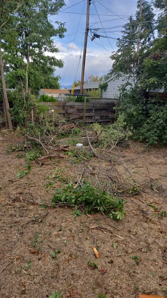 Reliable residential landscaping in Kearns, UT - Alberto AA landscaping