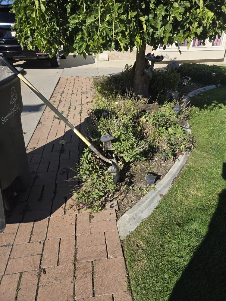 Affordable landscaping services near you across Kearns, UT - Alberto AA landscaping