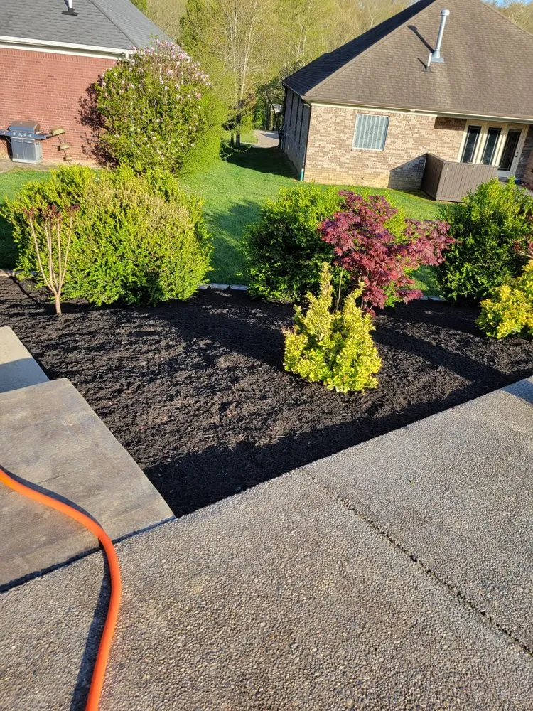 Local lawn mowing service for beautiful yards across Louisville, KY - Alberto Alavez Professional Lawn Services