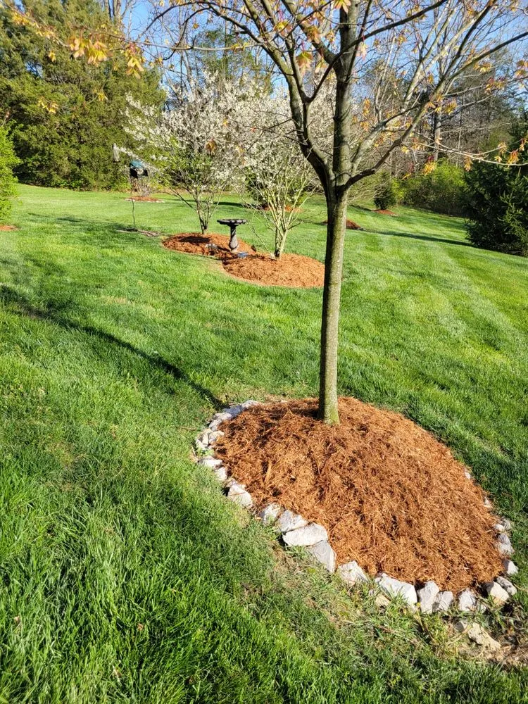 Trusted landscape design in Louisville, KY by Alberto Alavez Professional Lawn Services