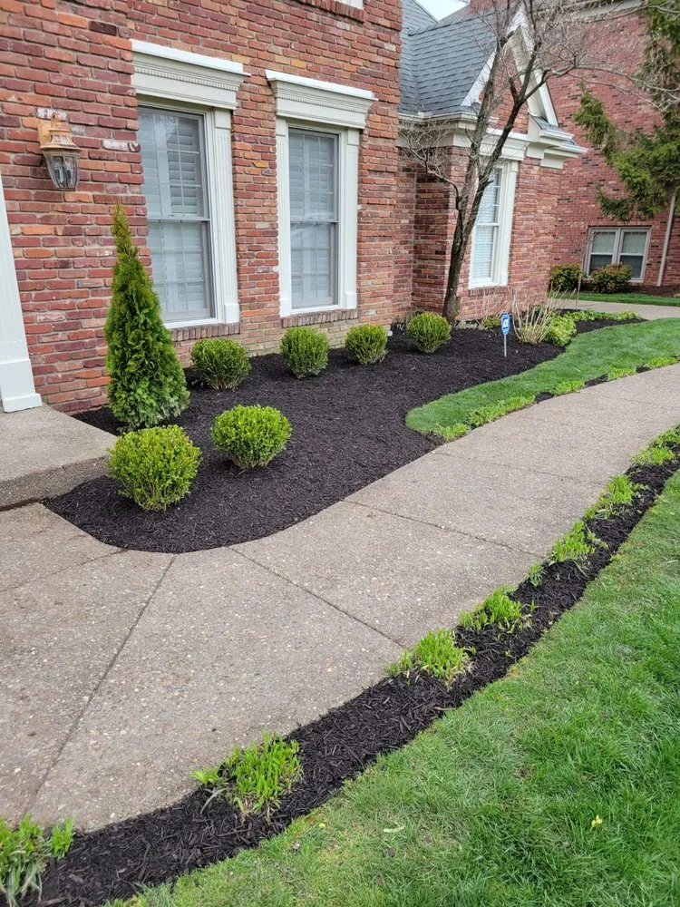 Reliable yard maintenance for outdoor upgrades across Louisville, KY - Alberto Alavez Professional Lawn Services