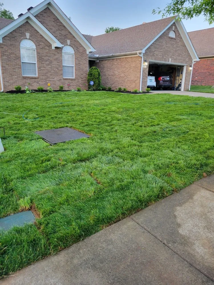 Expert residential landscaping for year-round maintenance in Louisville, KY by Alberto Alavez Professional Lawn Services