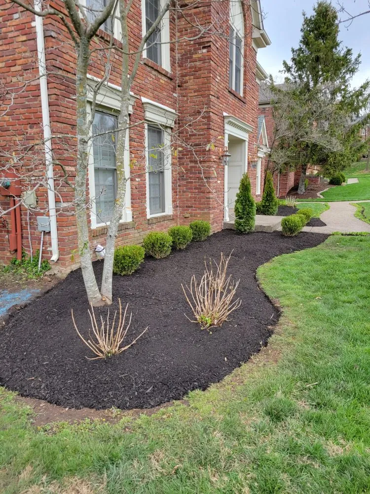 Local garden landscaping for year-round maintenance in Louisville, KY by Alberto Alavez Professional Lawn Services