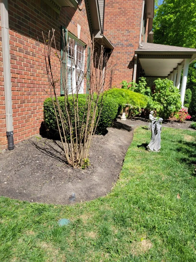 Custom lawn care service experts serving Louisville, KY - Alberto Alavez Professional Lawn Services