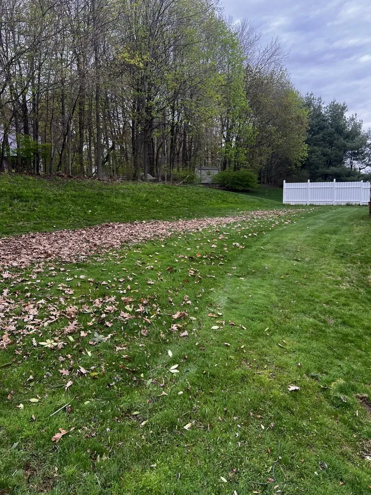 Professional yard cleanup service in Marlborough, MA - Alberto and sons Landscaping