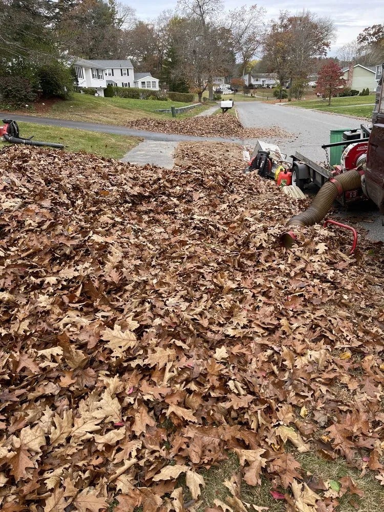 Custom lawn mowing service in Marlborough, MA by Alberto and sons Landscaping
