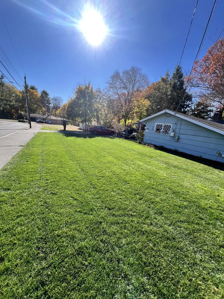 Professional yard cleanup service in Marlborough, MA by Alberto and sons Landscaping