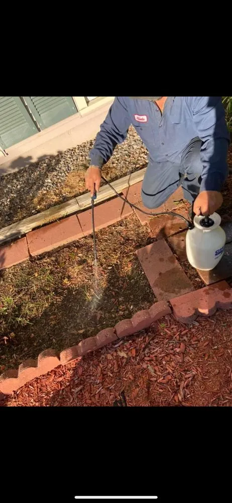 Custom lawn mowing service in Marlborough, MA - Alberto and sons Landscaping