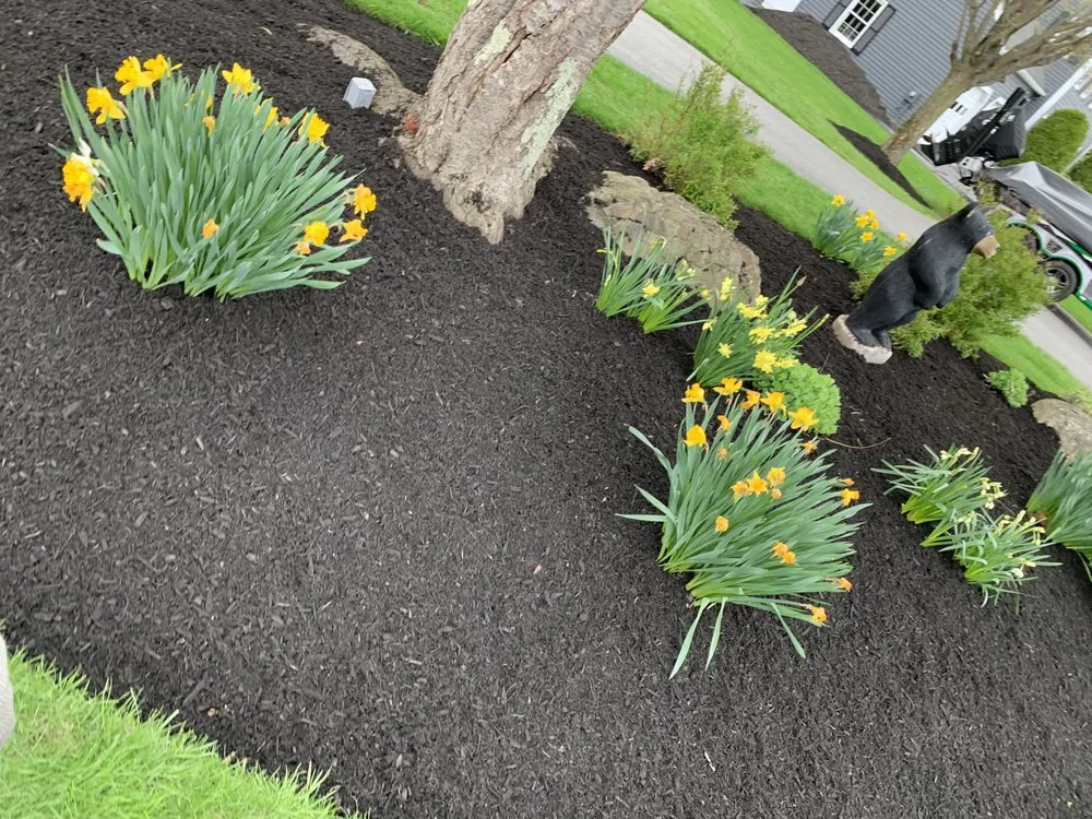 Custom landscape installation for year-round maintenance across Marlborough, MA - Alberto and sons Landscaping