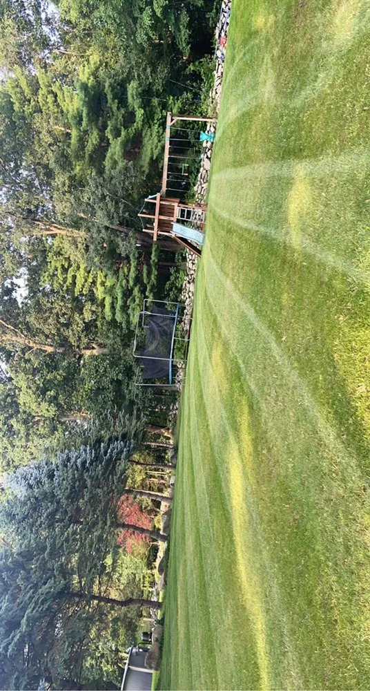 Expert yard cleanup service experts serving Marlborough, MA - Alberto and sons Landscaping