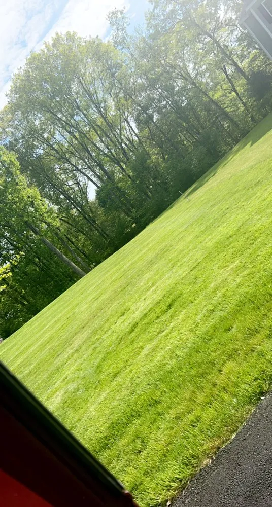 Top-rated yard maintenance experts serving Marlborough, MA - Alberto and sons Landscaping