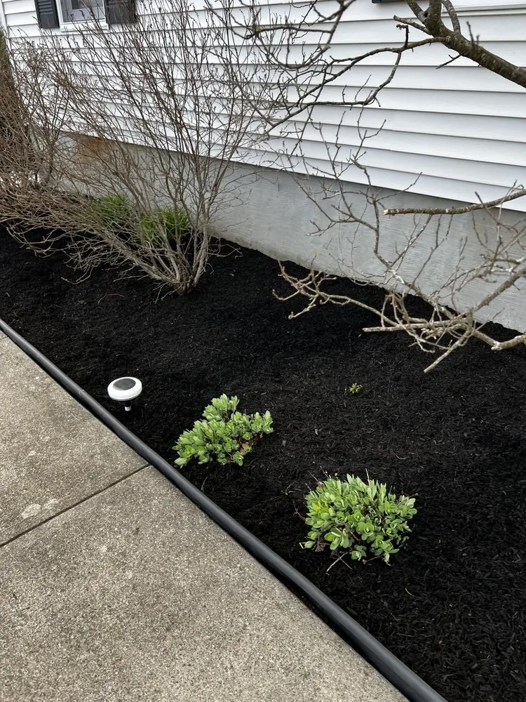 Professional yard cleanup service in Marlborough, MA by Alberto and sons Landscaping