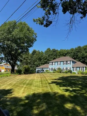 Alberto and sons Landscaping