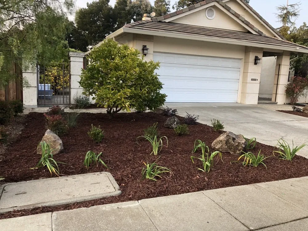 Custom garden landscaping in Belmont, CA by Alberto arellano Landscaping and Gardening