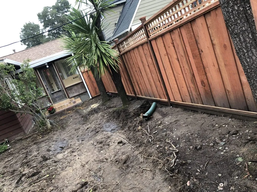 Affordable lawn mowing service in Belmont, CA by Alberto arellano Landscaping and Gardening