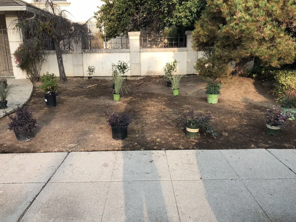 Local residential landscaping for residential properties in Belmont, CA by Alberto arellano Landscaping and Gardening