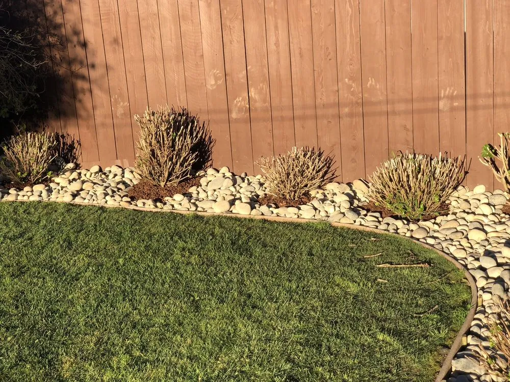 Top-rated outdoor landscaping for homes across Belmont, CA - Alberto arellano Landscaping and Gardening