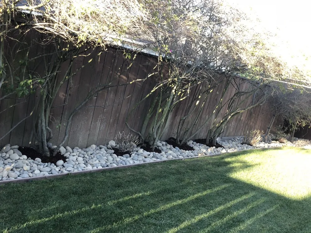 Affordable lawn care service in Belmont, CA - Alberto arellano Landscaping and Gardening