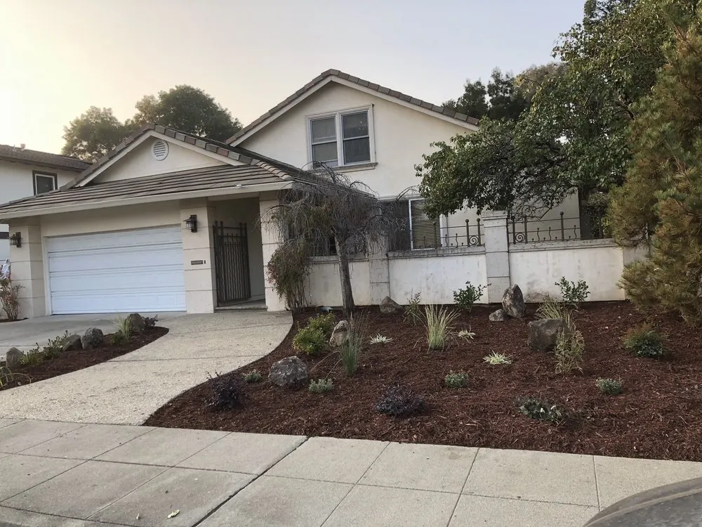 Trusted yard maintenance with custom design across Belmont, CA - Alberto arellano Landscaping and Gardening