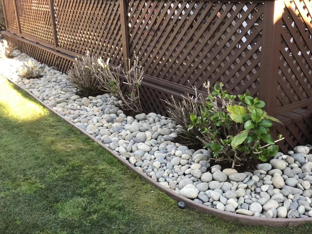 Top-rated lawn care service in Belmont, CA by Alberto arellano Landscaping and Gardening