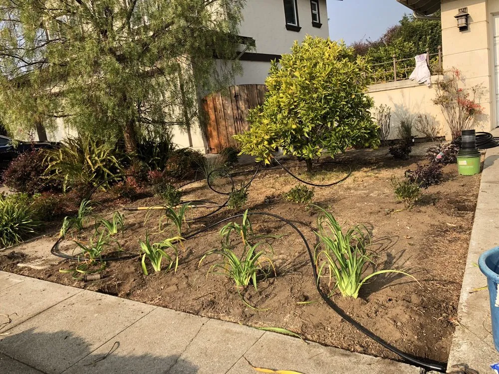 Trusted outdoor landscaping in Belmont, CA by Alberto arellano Landscaping and Gardening