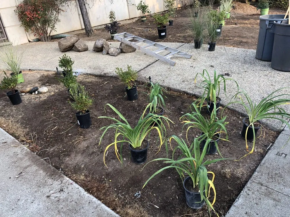 Affordable garden landscaping for beautiful yards across Belmont, CA - Alberto arellano Landscaping and Gardening