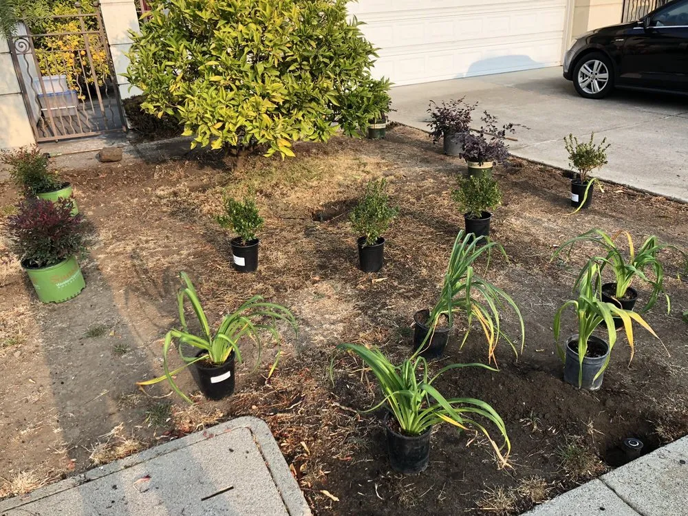 Top-rated landscaping services experts serving Belmont, CA - Alberto arellano Landscaping and Gardening