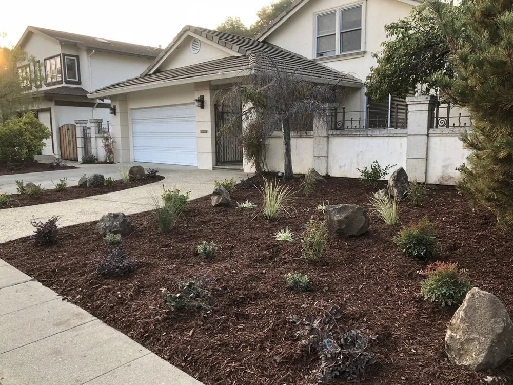 Professional garden landscaping with custom design in Belmont, CA by Alberto arellano Landscaping and Gardening