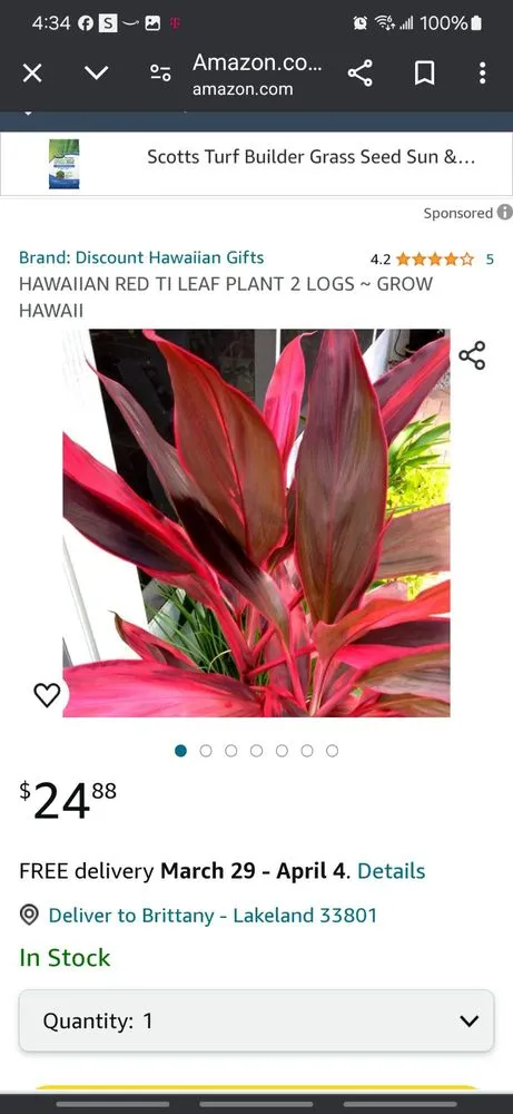 Affordable outdoor landscaping in Lakeland, FL - Alberto Francisco Landscaping And More