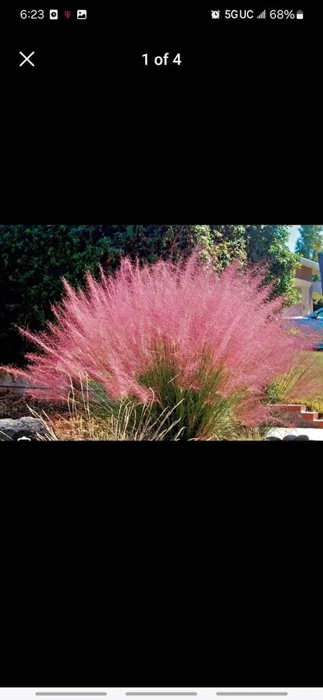 Expert yard maintenance in Lakeland, FL - Alberto Francisco Landscaping And More