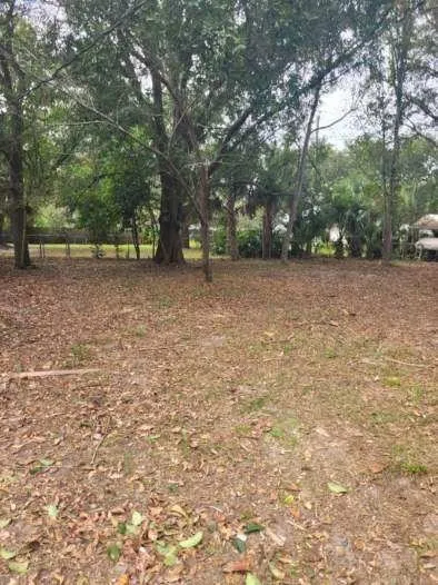 Local yard cleanup service for residential properties across Lakeland, FL - Alberto Francisco Landscaping And More