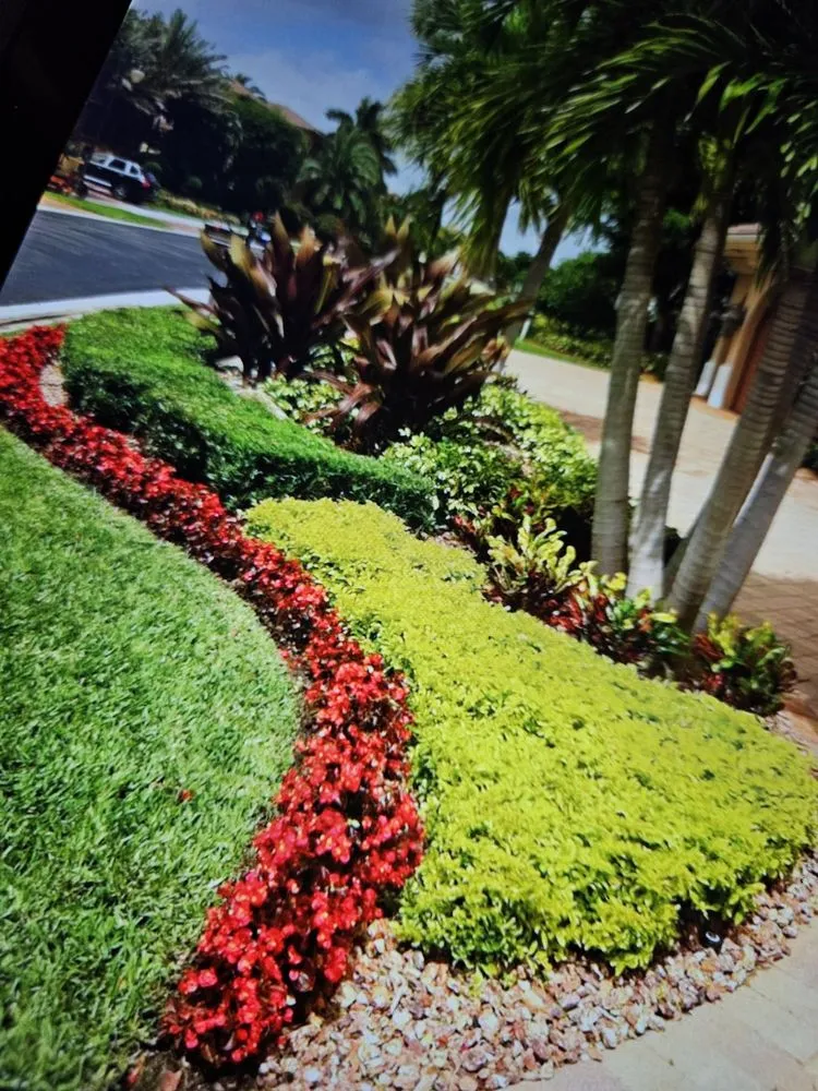 Reliable lawn care service in Lakeland, FL by Alberto Francisco Landscaping And More