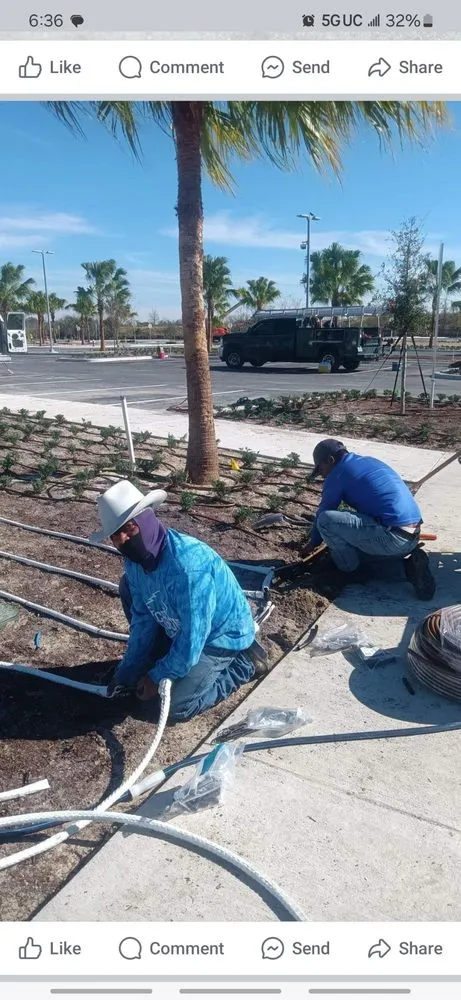 Professional yard cleanup service in Lakeland, FL by Alberto Francisco Landscaping And More