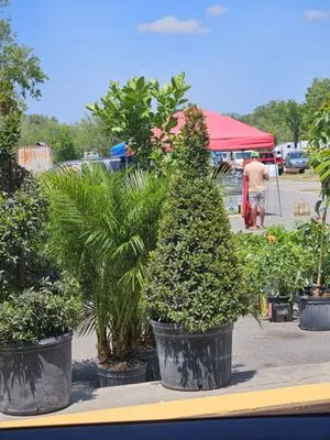 Alberto Francisco Landscaping And More Logo