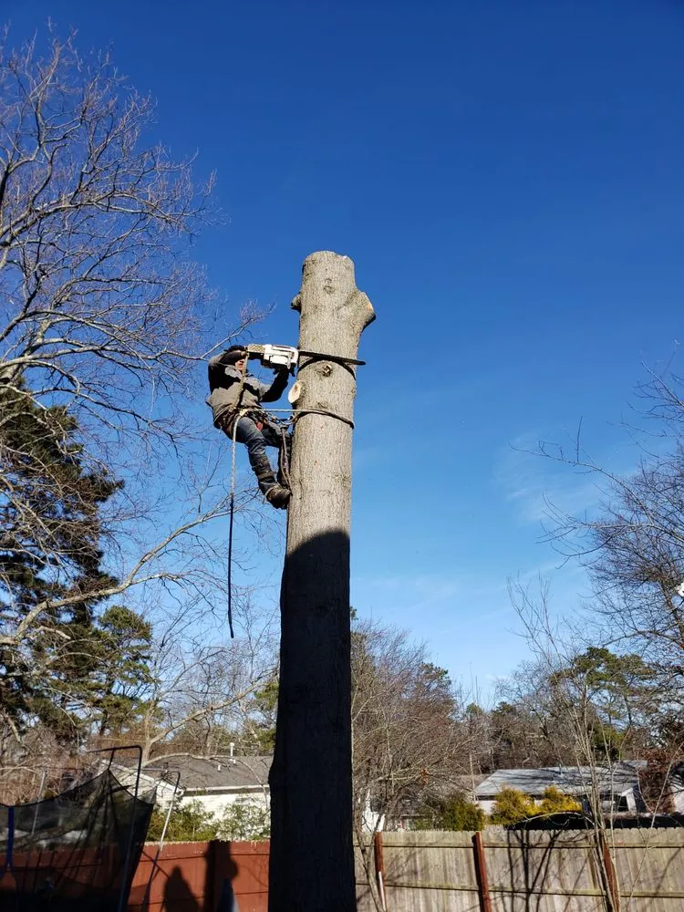 Top-rated residential landscaping with custom design in Lakewood nj, NJ by Alberto Landscaping and Tree Service