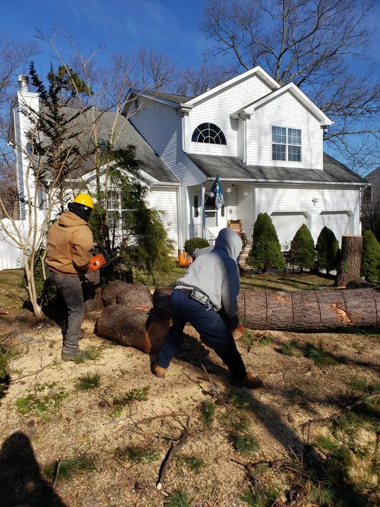 Professional lawn care service in Lakewood nj, NJ - Alberto Landscaping and Tree Service