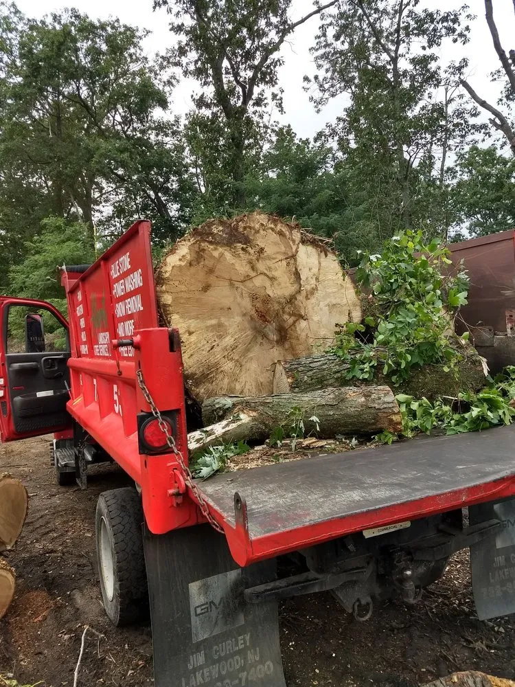 Professional yard cleanup service experts serving Lakewood nj, NJ - Alberto Landscaping and Tree Service
