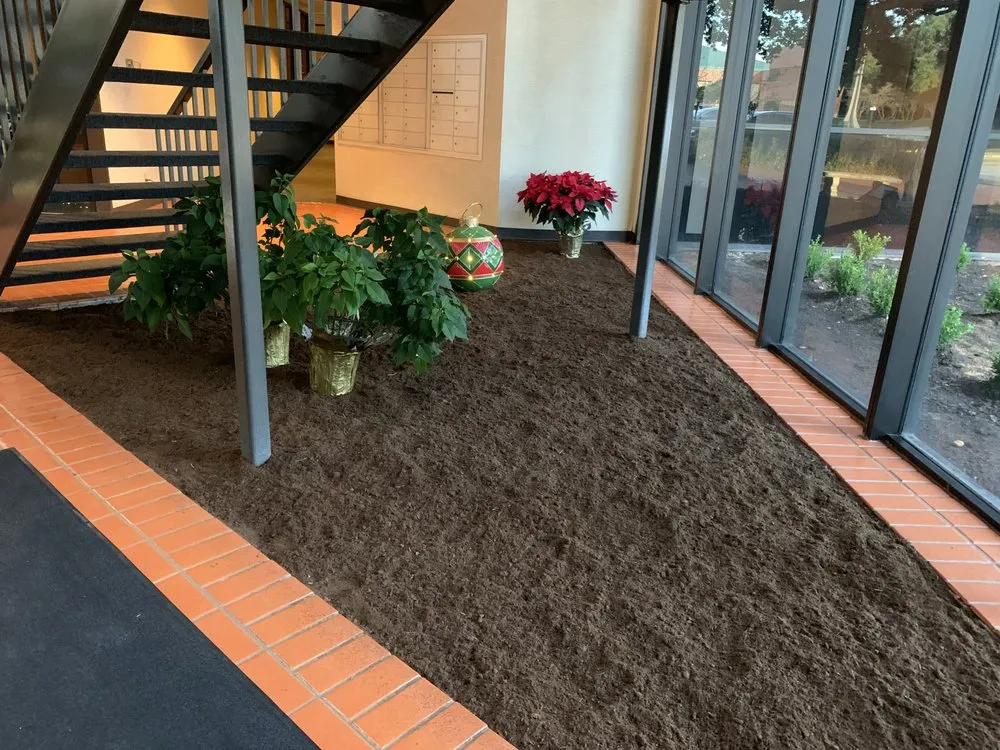 Top-rated outdoor landscaping in Sugar Land, TX by Alberto lawn services