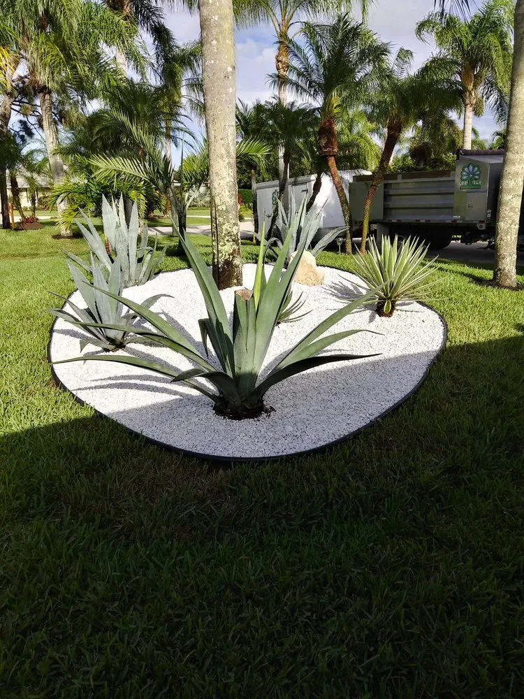 Custom lawn care service with custom design in Stuart, FL by Alberto Lawn