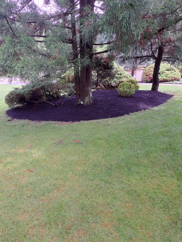 Professional yard cleanup service in Manville, NJ - Alberto Outdoor Landscape