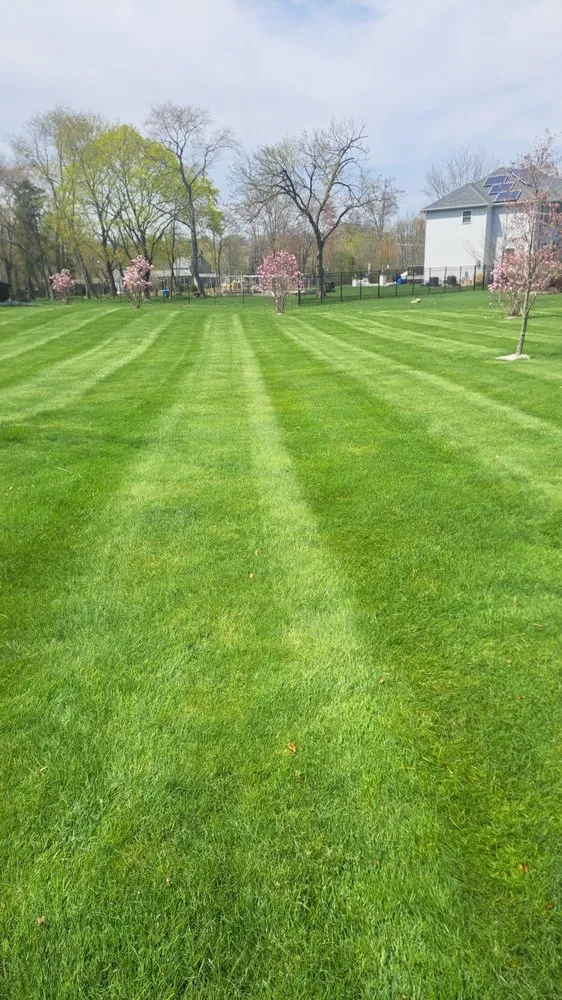 Trusted residential landscaping experts serving Manville, NJ - Alberto Outdoor Landscape