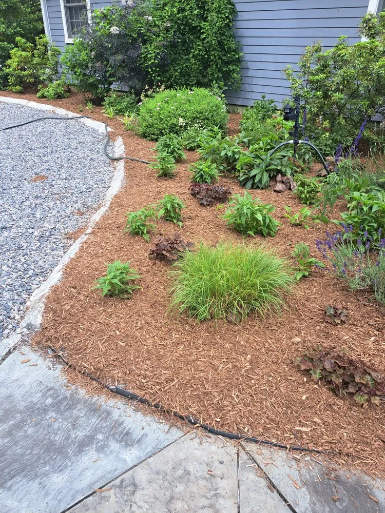 Affordable outdoor landscaping in Manville, NJ - Alberto Outdoor Landscape