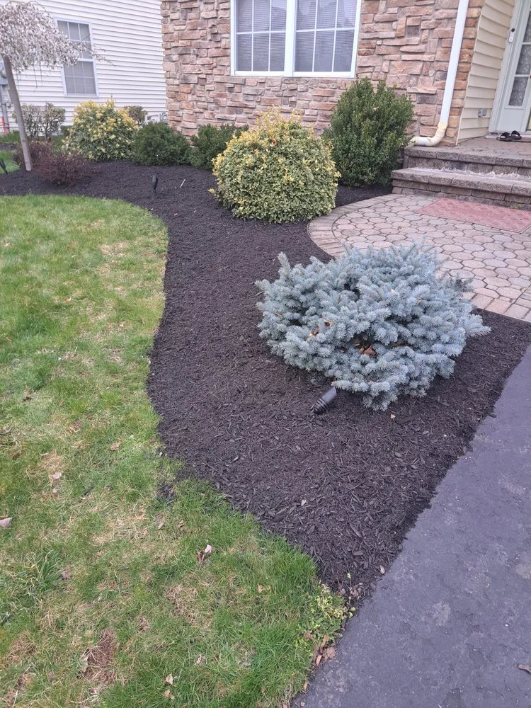 Trusted yard maintenance for year-round maintenance in Manville, NJ by Alberto Outdoor Landscape