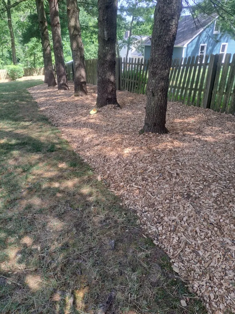 Expert residential landscaping for beautiful yards across Manville, NJ - Alberto Outdoor Landscape